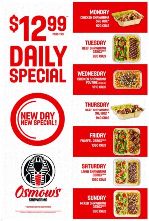 DS Window Poster 24" x 36" ENG